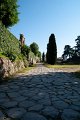 0528Foro Romano
